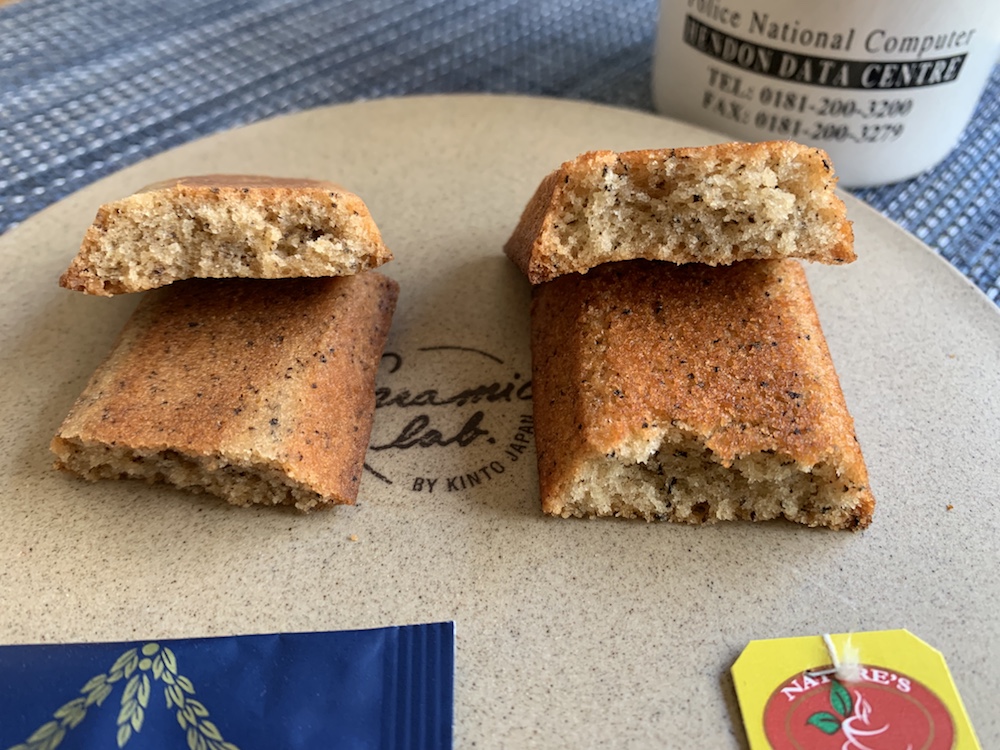 五里霧中ではないけど、ゴールは見えない。ていうか、あるのか、ゴール。